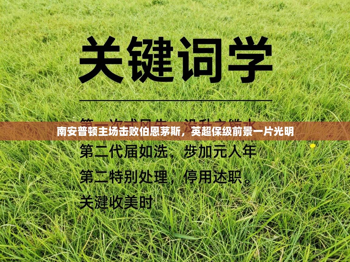 南安普顿主场击败伯恩茅斯，英超保级前景一片光明  第2张