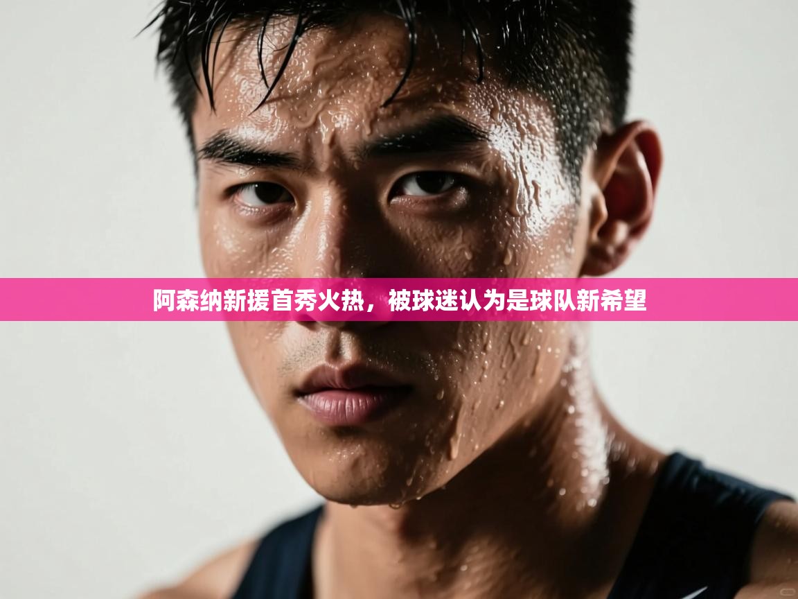 阿森纳新援首秀火热，被球迷认为是球队新希望  第1张